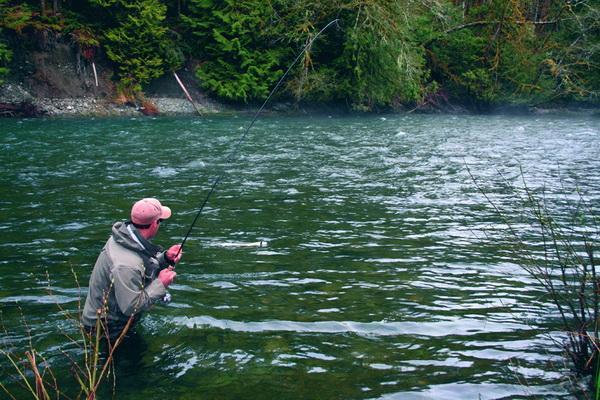 Fish - pescuit-sportiv-la-musca-artificiala1.jpg